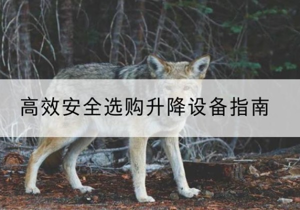 叶县升降货梯厂家推荐-*安全选购升降设备指南