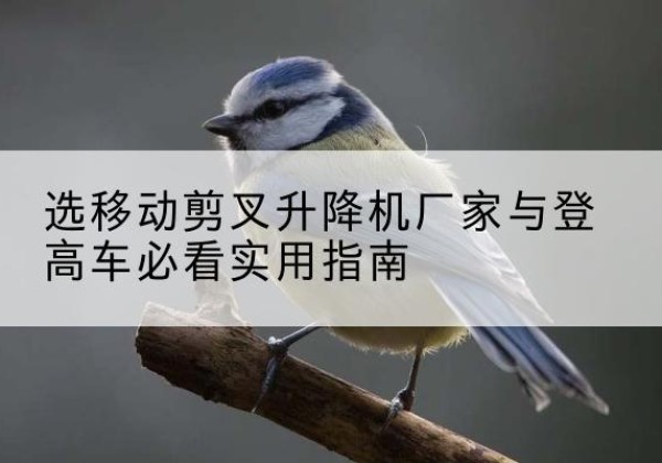叶县电动升降机厂家-选移动剪叉升降机厂家与登高车必看实用指南