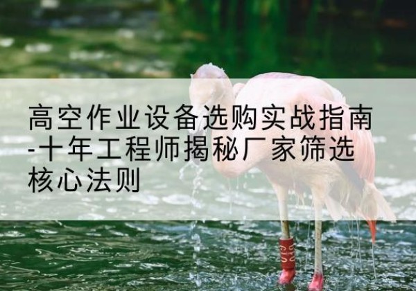 叶县剪叉式升降机厂家-高空作业设备选购实战指南-十年工程师揭秘厂家筛选核心法则