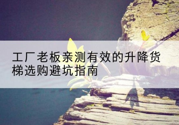 叶县升降货梯怎么选-工厂老板亲测有效的升降货梯选购避坑指南